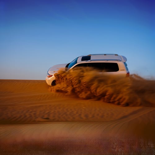 Desert Safari