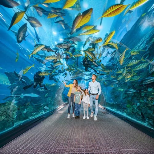 Dubai Aquarium and Underwater Zoo