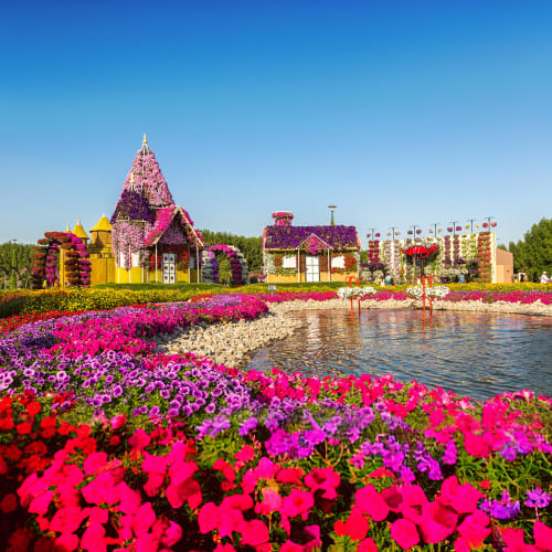 Miracle Garden Dubai