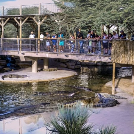 Dubai Crocodile Park