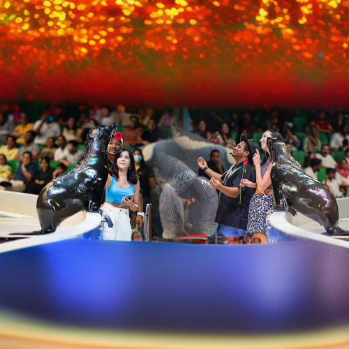 Dubai Dolphinarium Open Dated Tickets