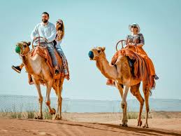 Premium Red Dunes Safari